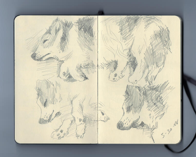 Sketchbook page of Skipper Sketchbook page of Skipper